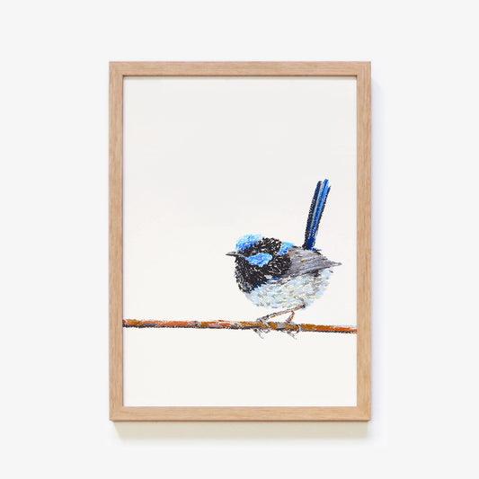 Aussie Animals: Fairy-Wren Art Print