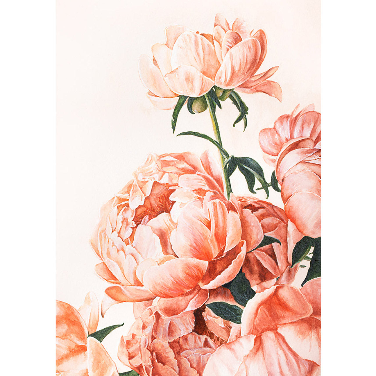 Peony Flower Bouquet