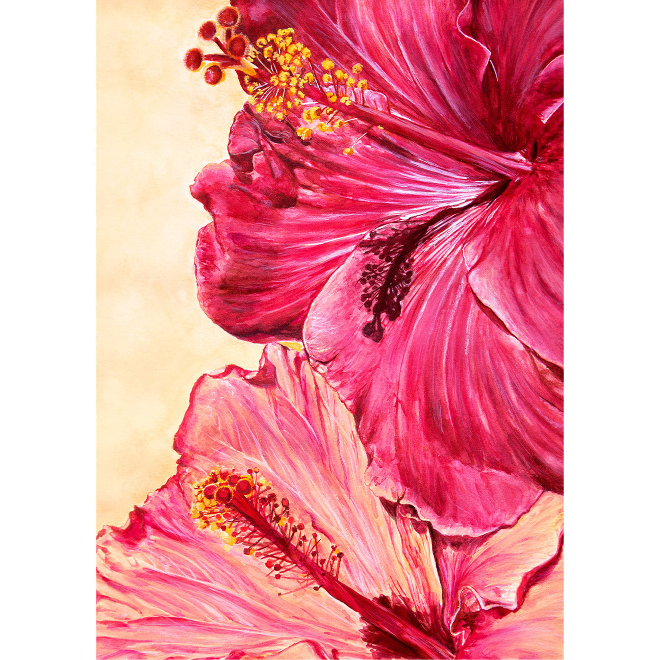 Hibiscus Flowers