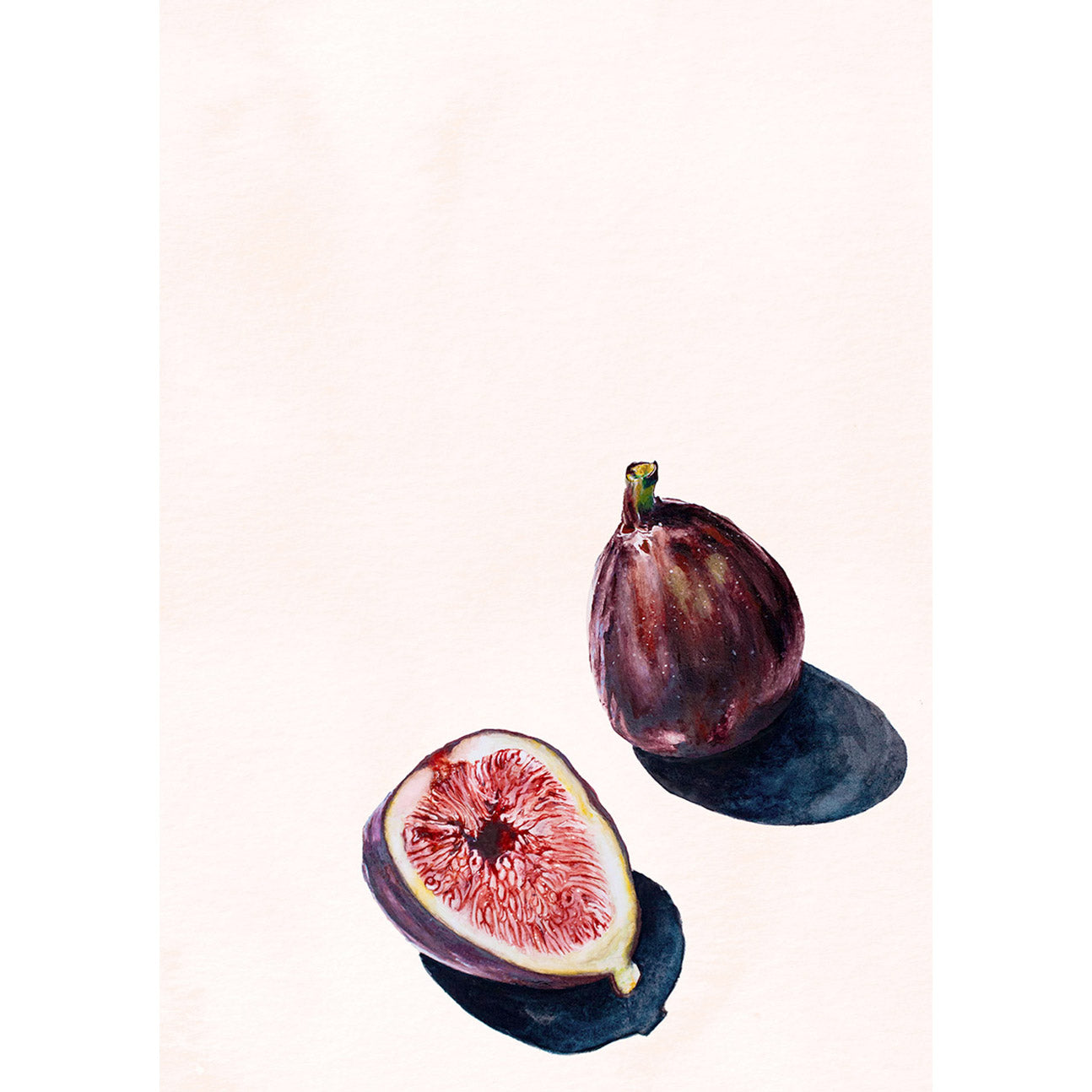 Figs In Sun Still Life