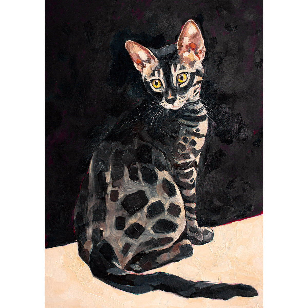 Charcoal Bengal Cat
