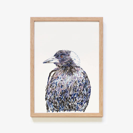 Aussie Animals: Magpie Art Print