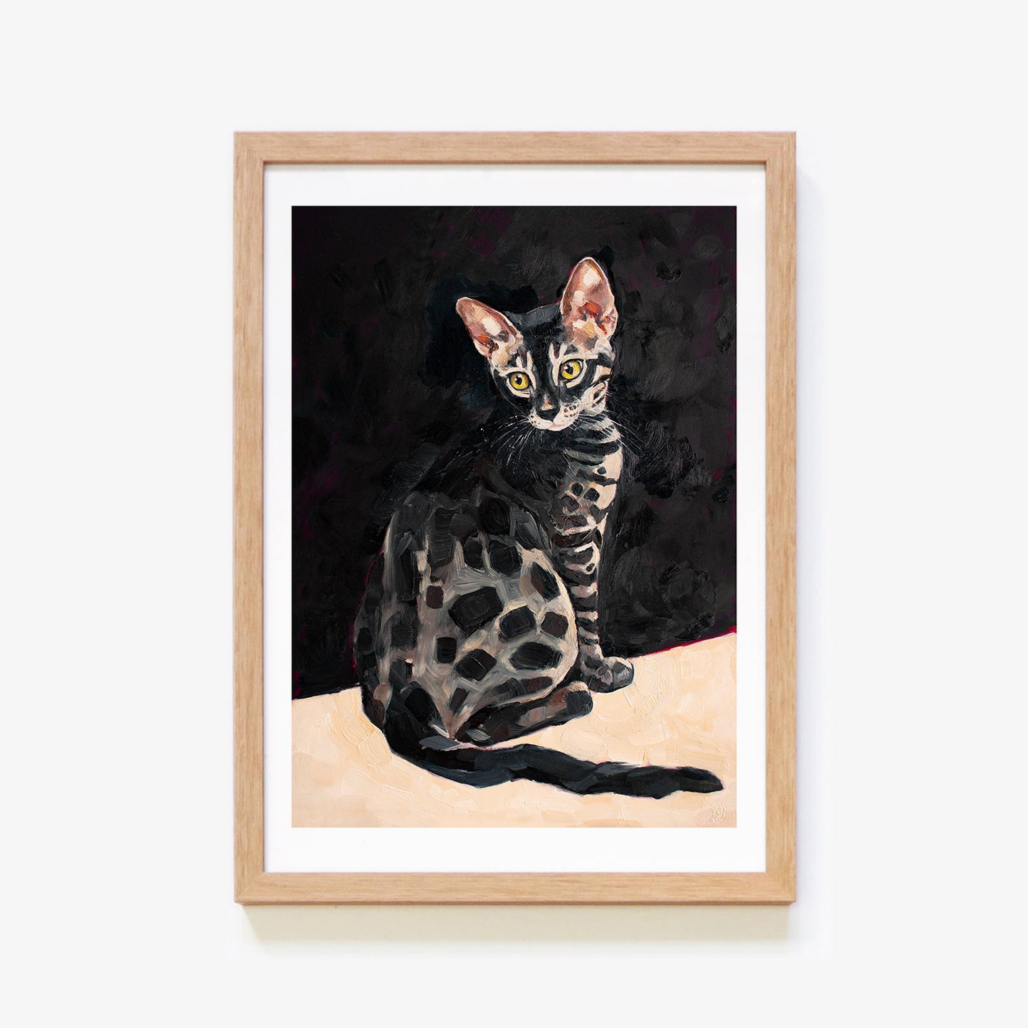 Charcoal Bengal Cat