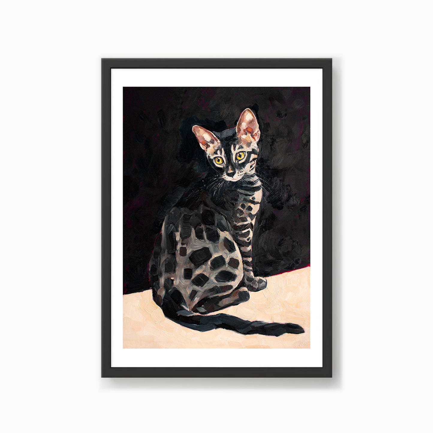 Charcoal Bengal Cat