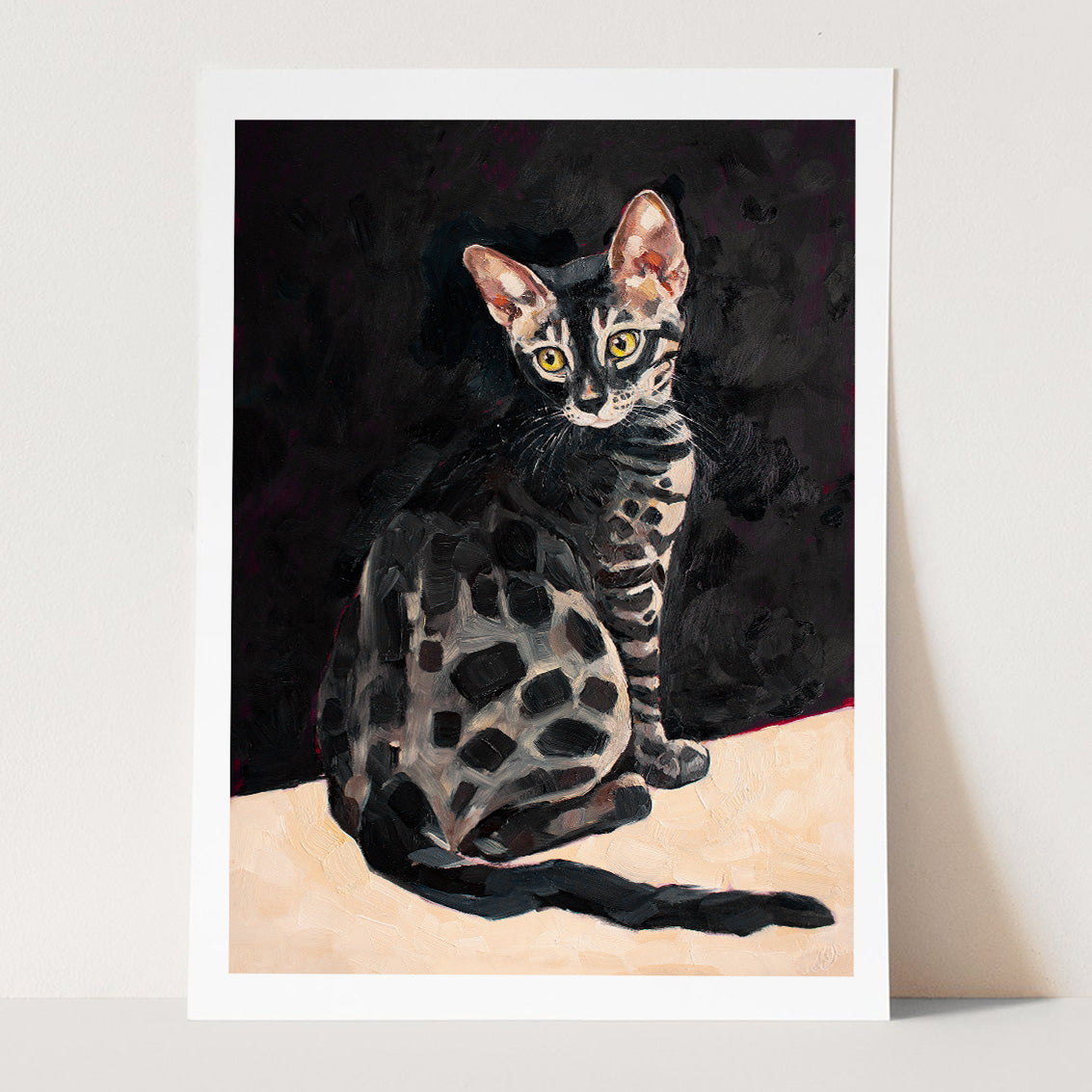 Charcoal Bengal Cat