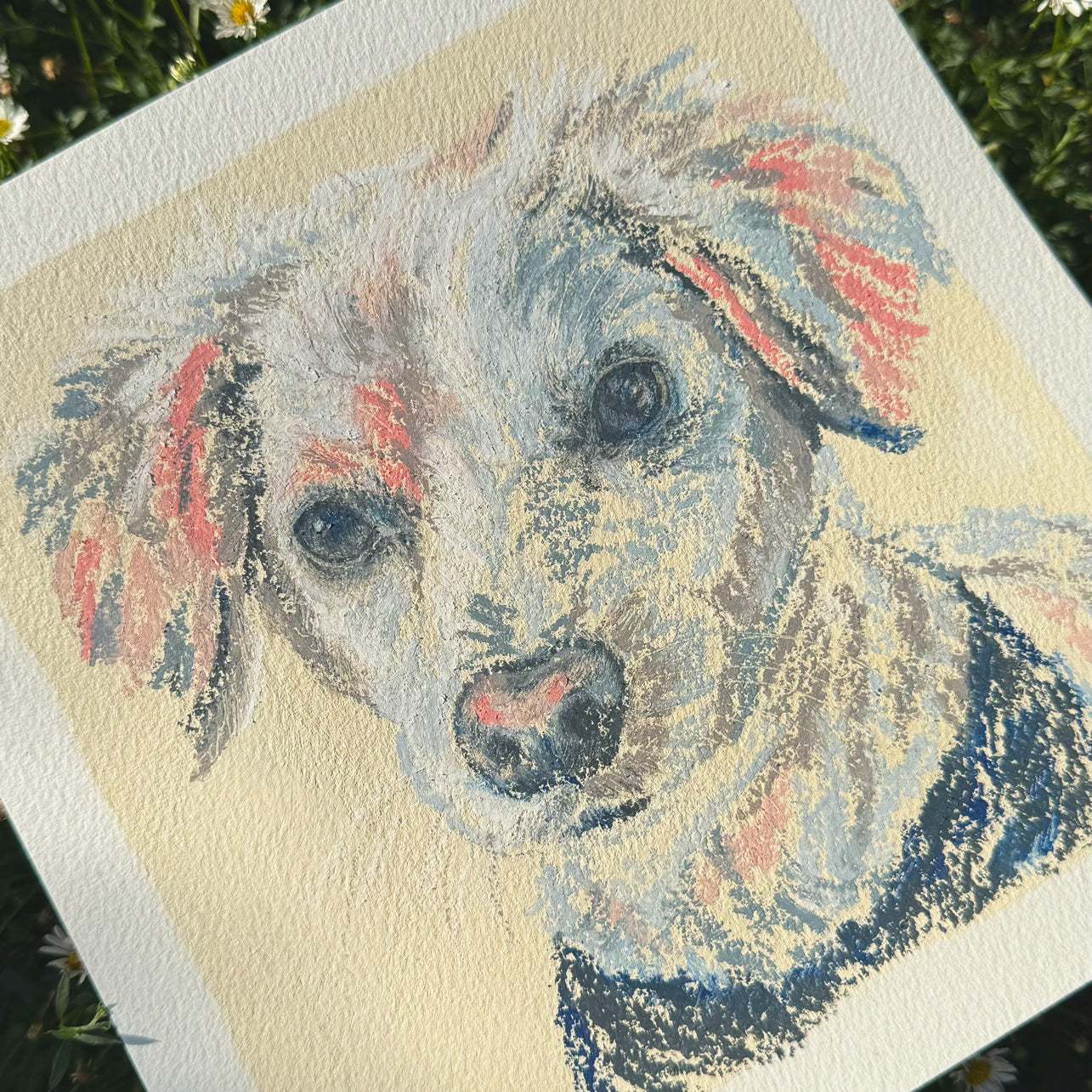 Oil Pastel Pet Commission