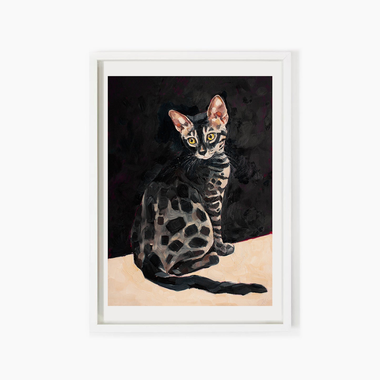 Charcoal Bengal Cat