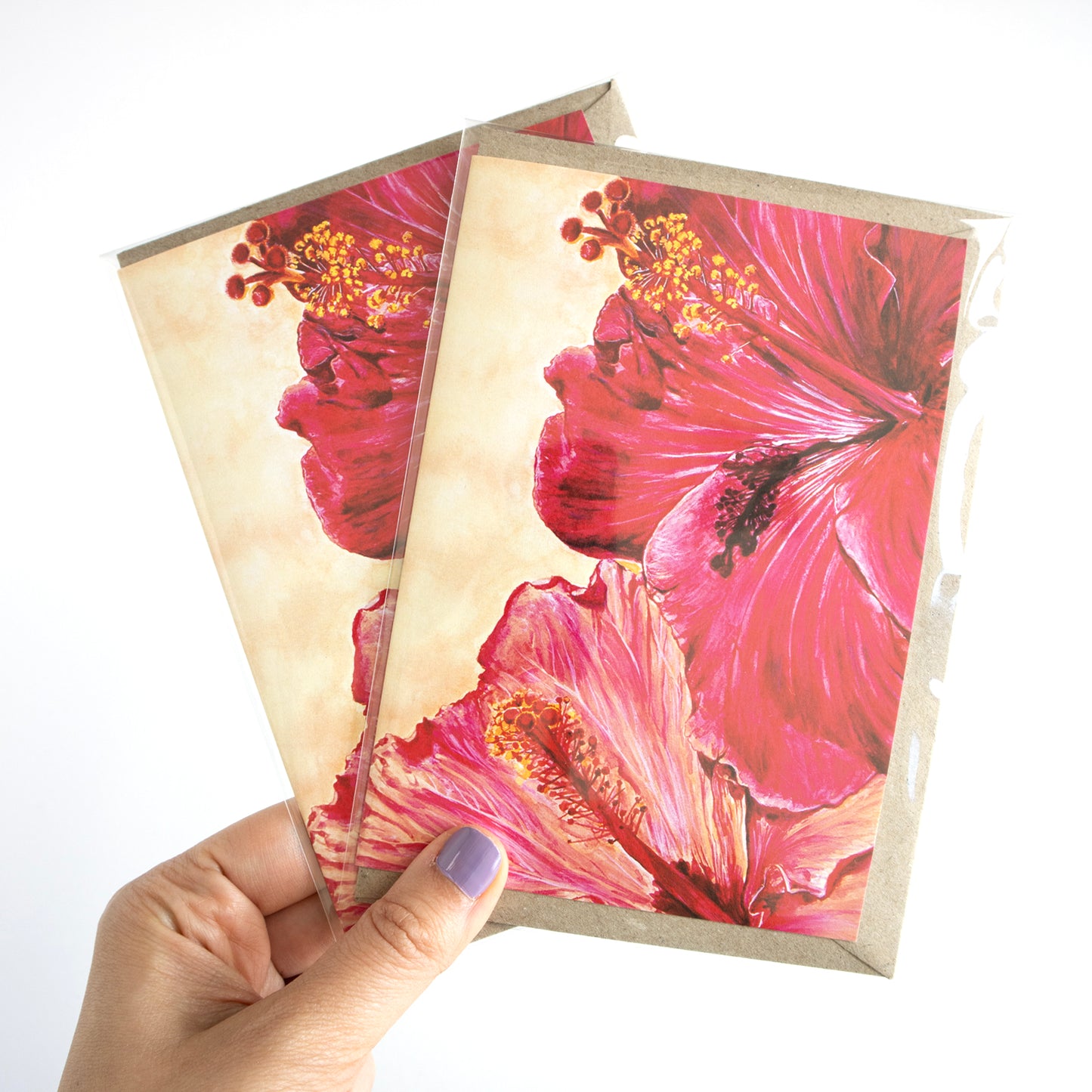 Hibiscus Flowers Greeting Card