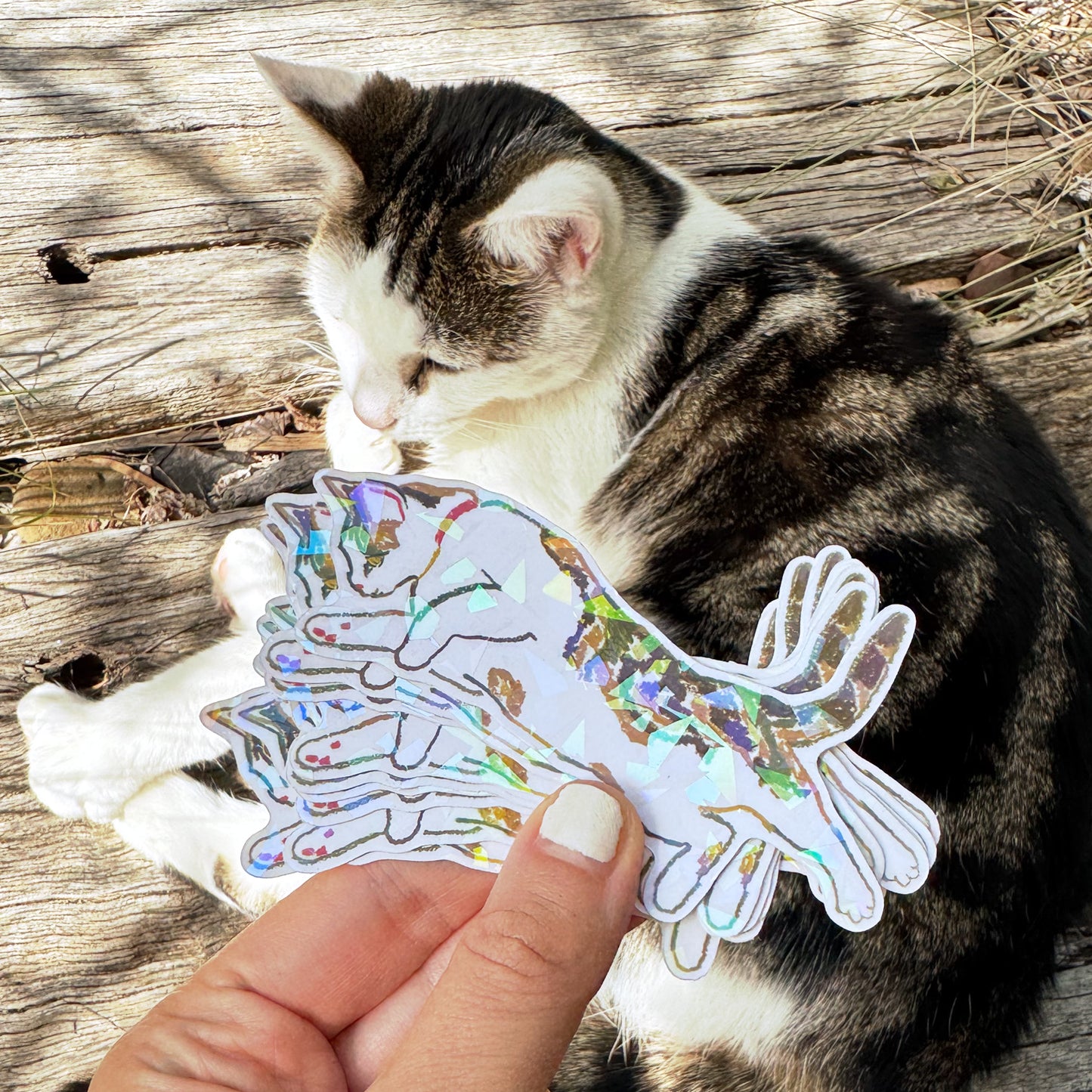 Lazy Cat Vinyl Glitter Sticker