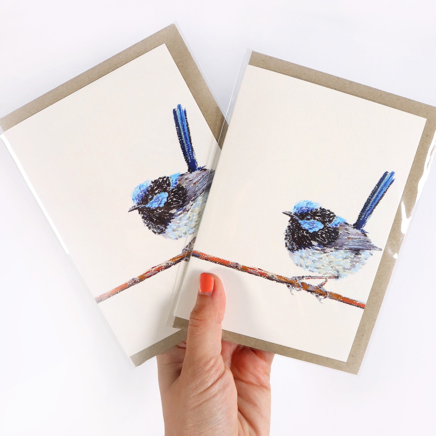 Superb Fairy-wren Greeting Card