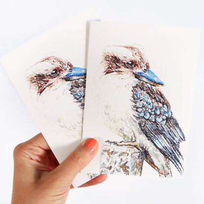 Kookaburra Greeting Card