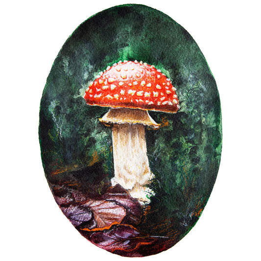 Mushroom / Toadstool Watercolour 'Amanita Muscaria'