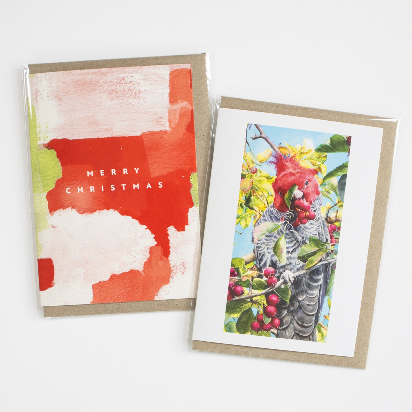Gang Gang Cockatoo Greeting Card