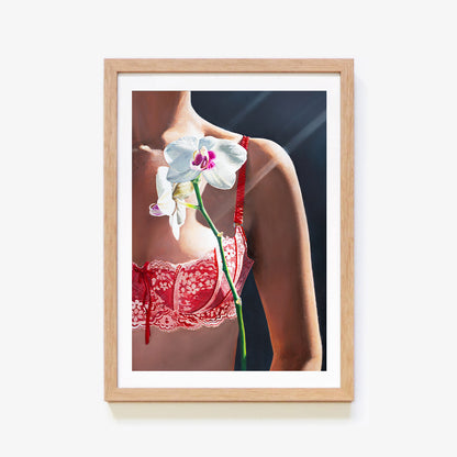 Orchid Flower Portrait / In Bloom