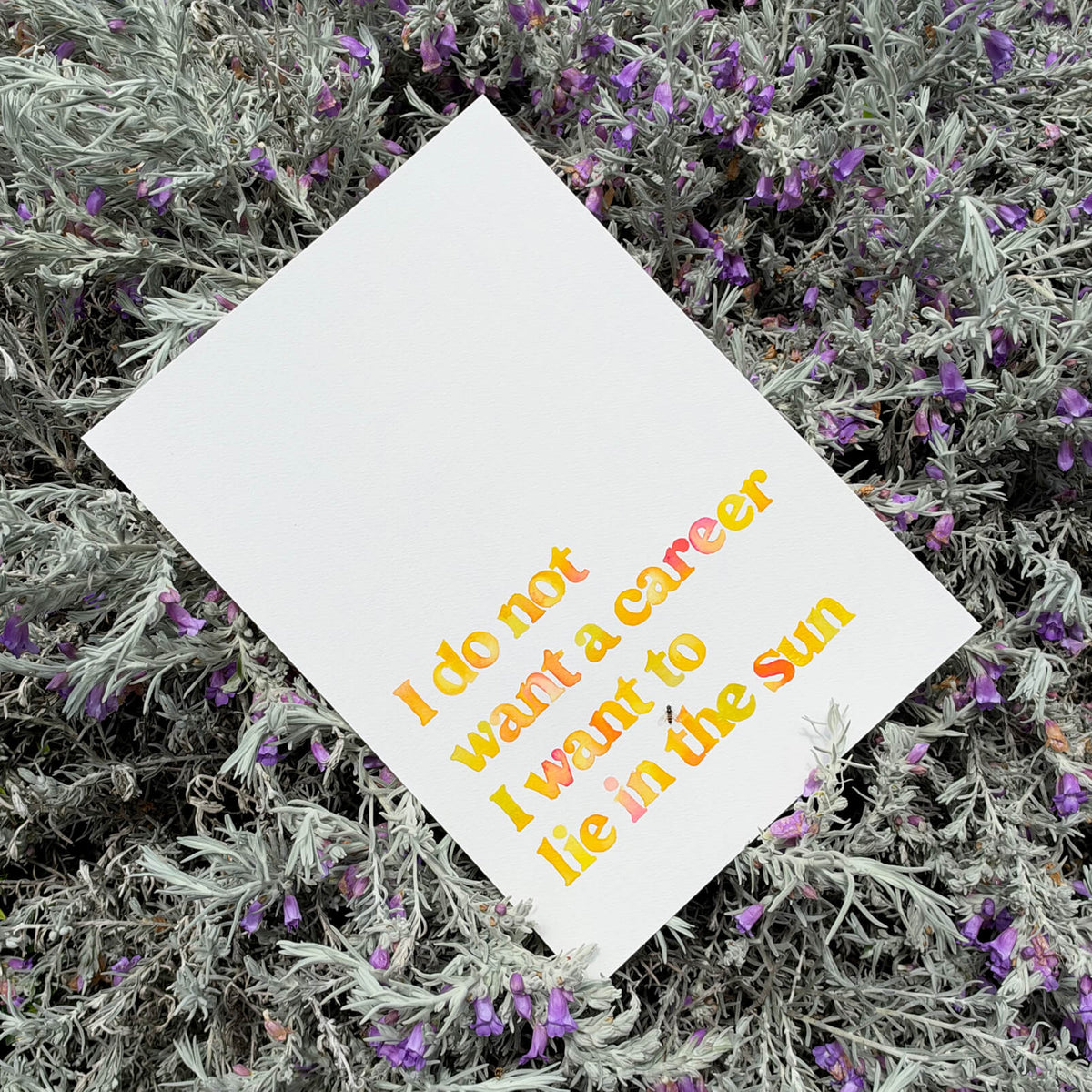 I do not want a career I want to lie in the sun Original Painting