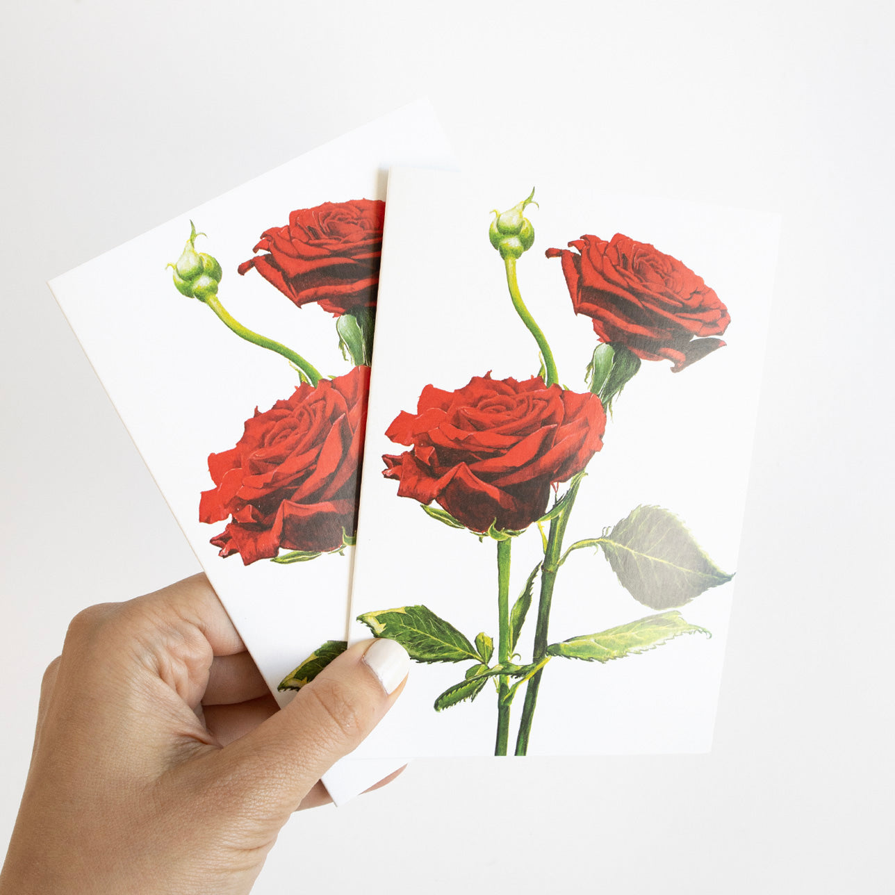 Red Watercolour Roses Greeting Card