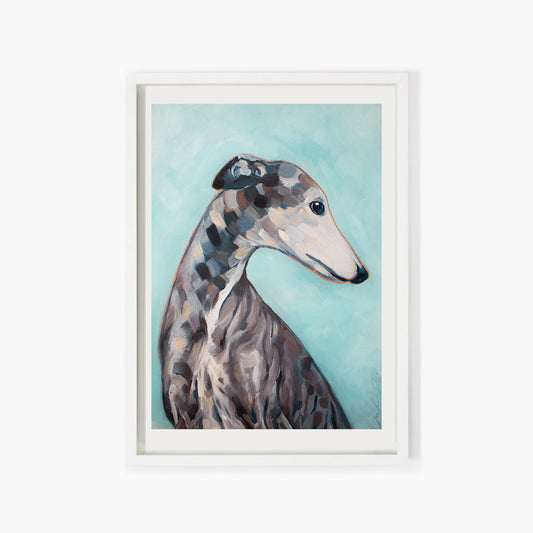 Greyhound Portrait