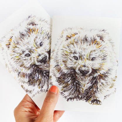 Wombat Greeting Card