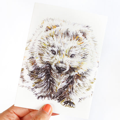 Wombat Greeting Card