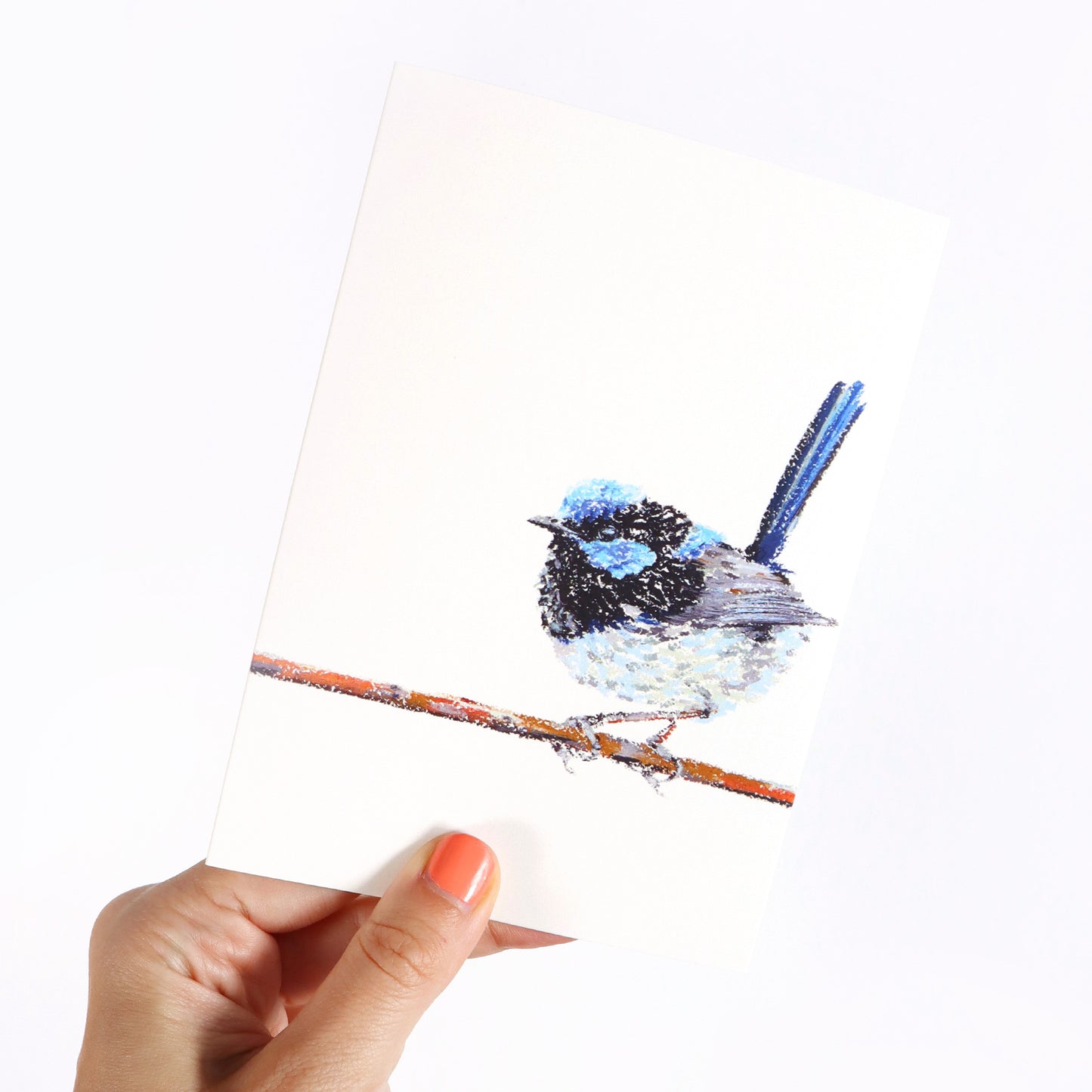 Superb Fairy-wren Greeting Card