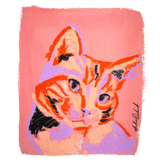 Little Tiger Pastel Cat
