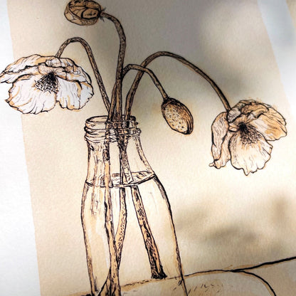 Tea Poppies Ink Drawing