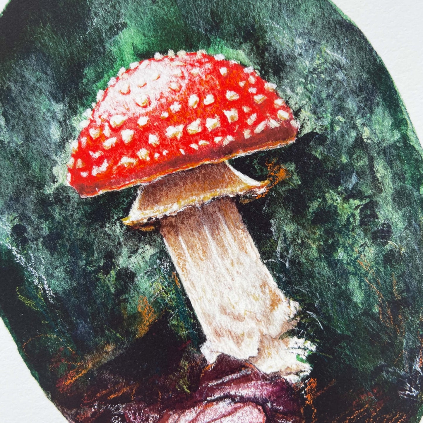 Mushroom / Toadstool Watercolour 'Amanita Muscaria'