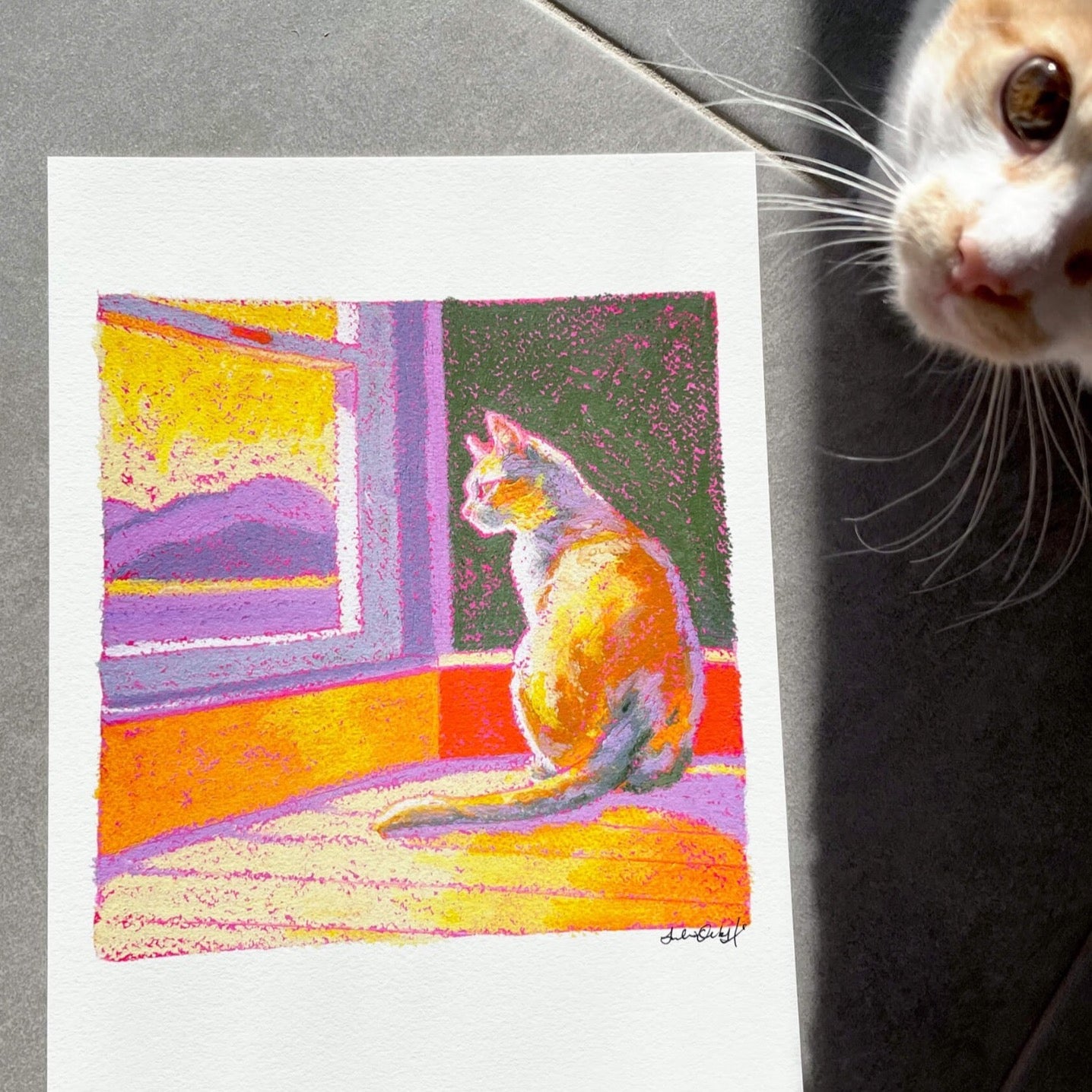 Lilac Sun Cat V2