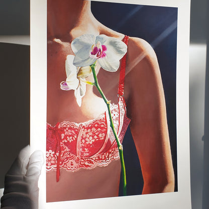 Orchid Flower Portrait / In Bloom
